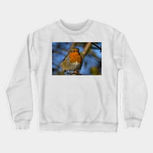 Robin in winter sunshine Crewneck Sweatshirt